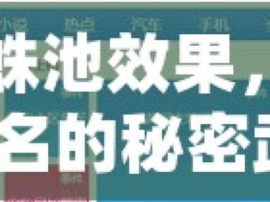 谷歌蜘蛛池效果，提升网站排名的秘密武器？