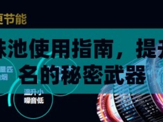 谷歌蜘蛛池使用指南，提升网站排名的秘密武器