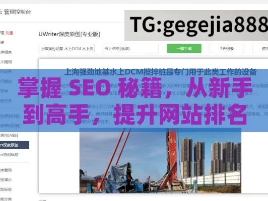 掌握 SEO 秘籍，从新手到高手，提升网站排名