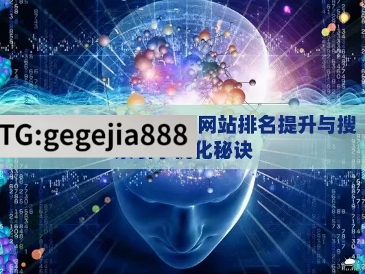 系统 SEO 教程，解锁网站排名提升与搜索引擎优化秘诀