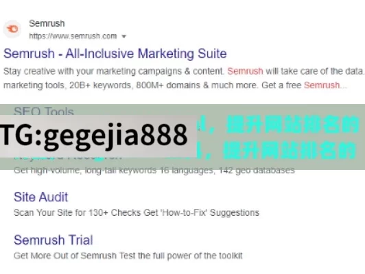 探索 Google SEO Tool，提升网站排名的利器,Google SEO工具，提升网站排名的利器