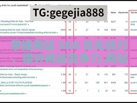 掌握网站 SEO 优化技巧，提升网站竞争力,网站SEO优化技巧，提升排名与流量的关键策略