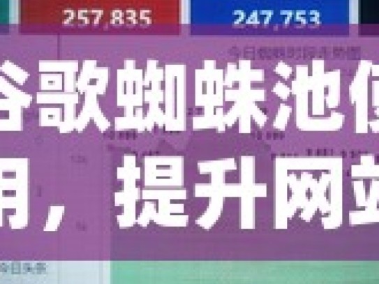 谷歌蜘蛛池使用，提升网站排名的秘密武器