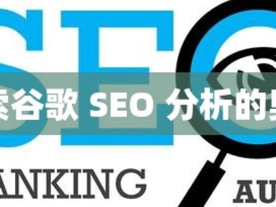 探索谷歌 SEO 分析的奥秘