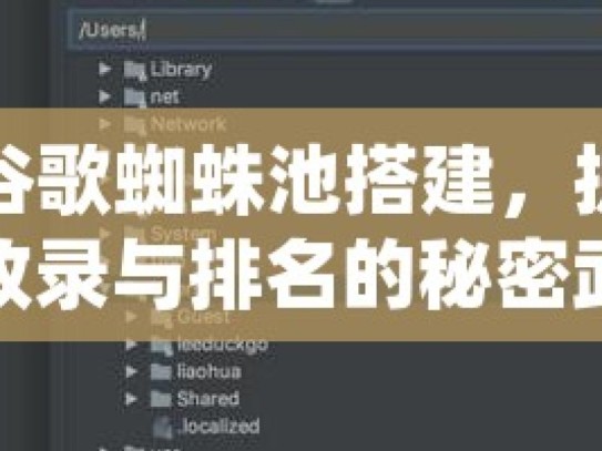 揭秘谷歌蜘蛛池搭建，提升网站收录与排名的秘密武器