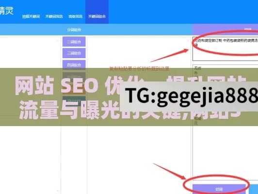 网站 SEO 优化，提升网站流量与曝光的关键,网站SEO优化，提升在线可见度的黄金法则