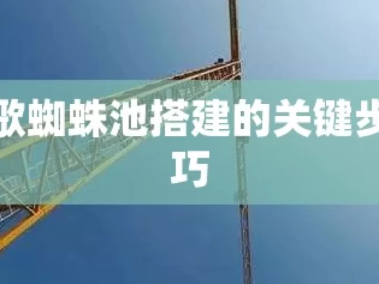 揭秘谷歌蜘蛛池搭建的关键步骤与技巧