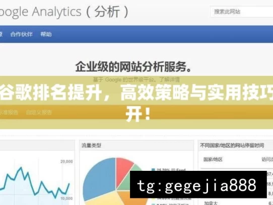 揭秘谷歌排名提升，高效策略与实用技巧大公开！，揭秘谷歌排名提升之道