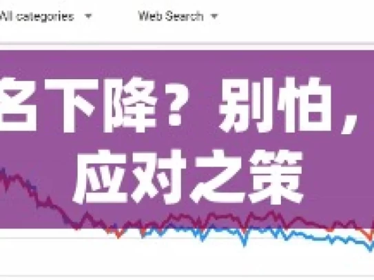 谷歌排名下降？别怕，这里有应对之策