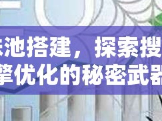 蜘蛛池搭建，探索搜索引擎优化的秘密武器