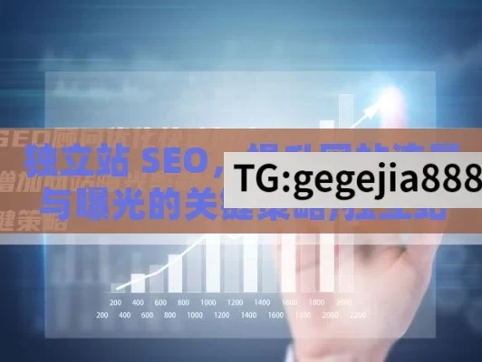 独立站 SEO，提升网站流量与曝光的关键策略,独立站SEO，提升网站流量的关键策略