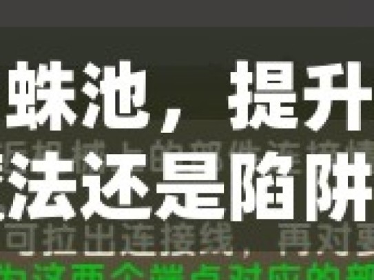 谷歌蜘蛛池，提升全球排名的魔法还是陷阱？谷歌蜘蛛池的奥秘，如何利用它提升你的全球排名