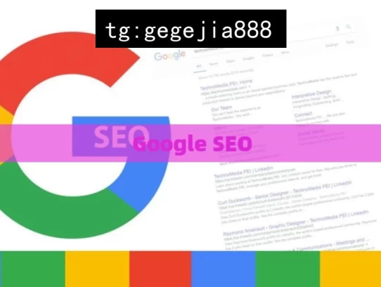 Google SEO，探索 Google SEO 奥秘