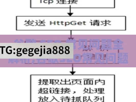 谷歌 SEO 常见问题全解析,谷歌SEO常见问题解答，提升网站排名的关键策略