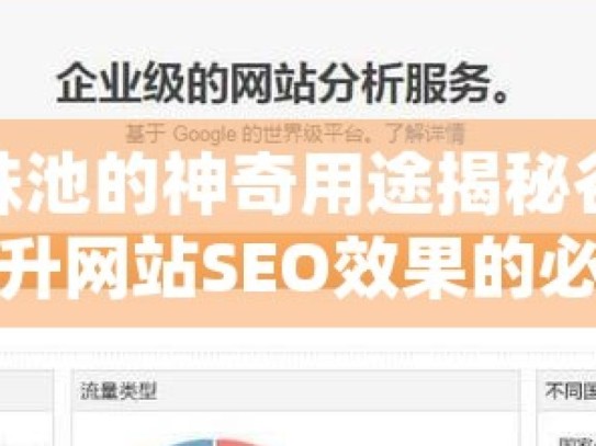 探索谷歌蜘蛛池的神奇用途揭秘谷歌蜘蛛池优化，提升网站SEO效果的必备策略