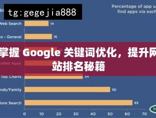 掌握 Google 关键词优化，提升网站排名秘籍，掌握 Google 关键词优化秘籍