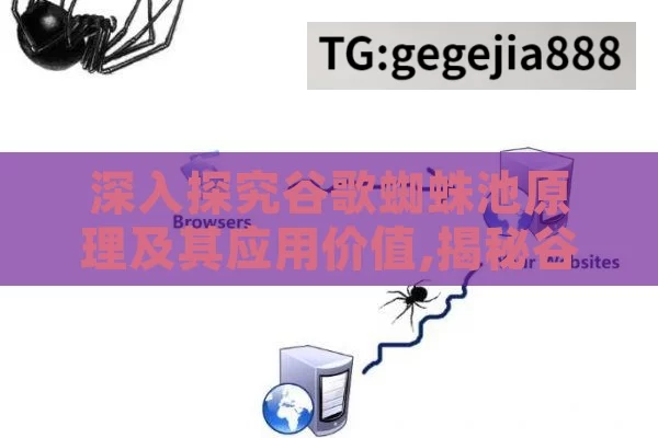 深入探究谷歌蜘蛛池原理及其应用价值,揭秘谷歌蜘蛛池的秘密