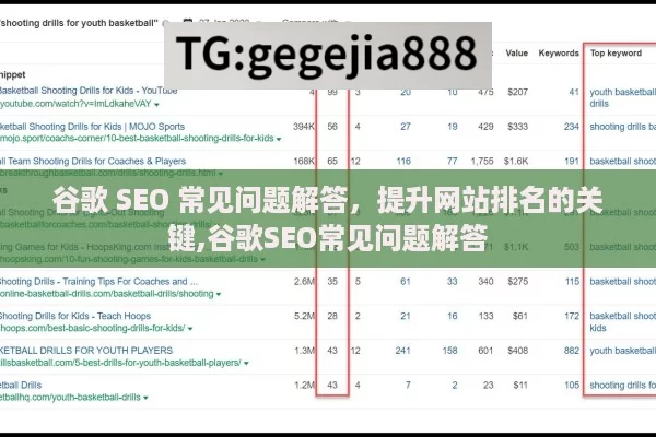 谷歌 SEO 常见问题解答，提升网站排名的关键,谷歌SEO常见问题解答