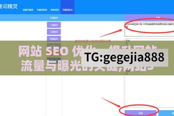 网站 SEO 优化，提升网站流量与曝光的关键,网站SEO优化，提升在线可见度的黄金法则