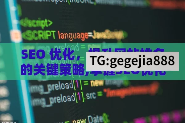 SEO 优化，提升网站排名的关键策略,掌握SEO优化，提升网站排名的终极指南