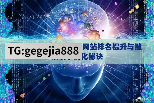 系统 SEO 教程，解锁网站排名提升与搜索引擎优化秘诀